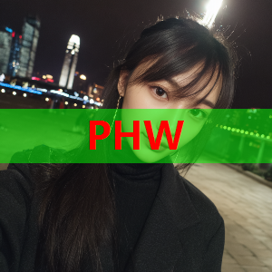 在线留言